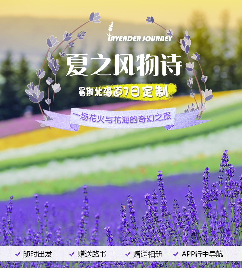 夏之风物诗暑期北海道花火与花海奇幻7日定制 小樽花火大会 富良野薰衣草花海 豪华星野度假村 马蜂窝自由行 马蜂窝自由行