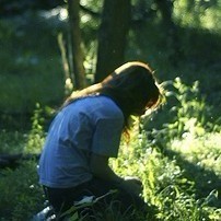 独酌伊人泪