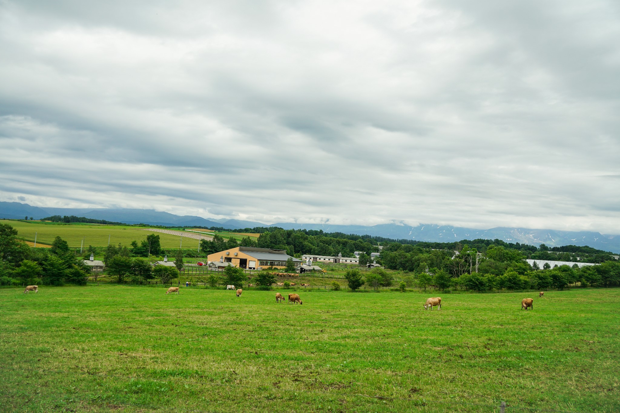 北海道自助遊攻略