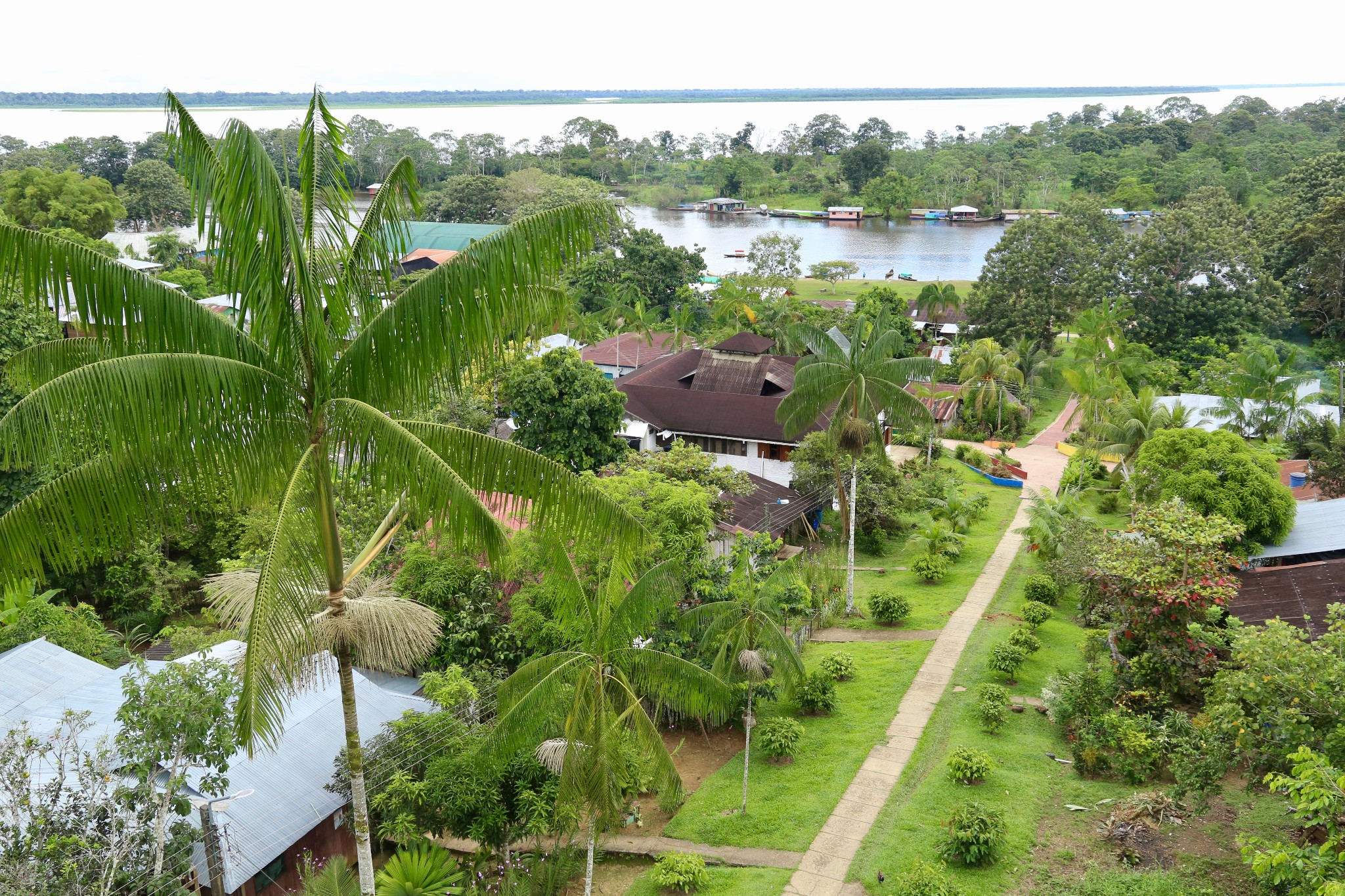 哥伦比亚行（二）亚马逊河热带雨林