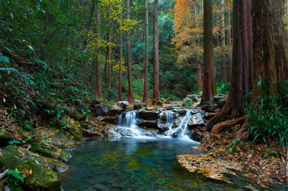 杭州夏季避暑指南:九溪景区,安享25°的清凉(免门票)