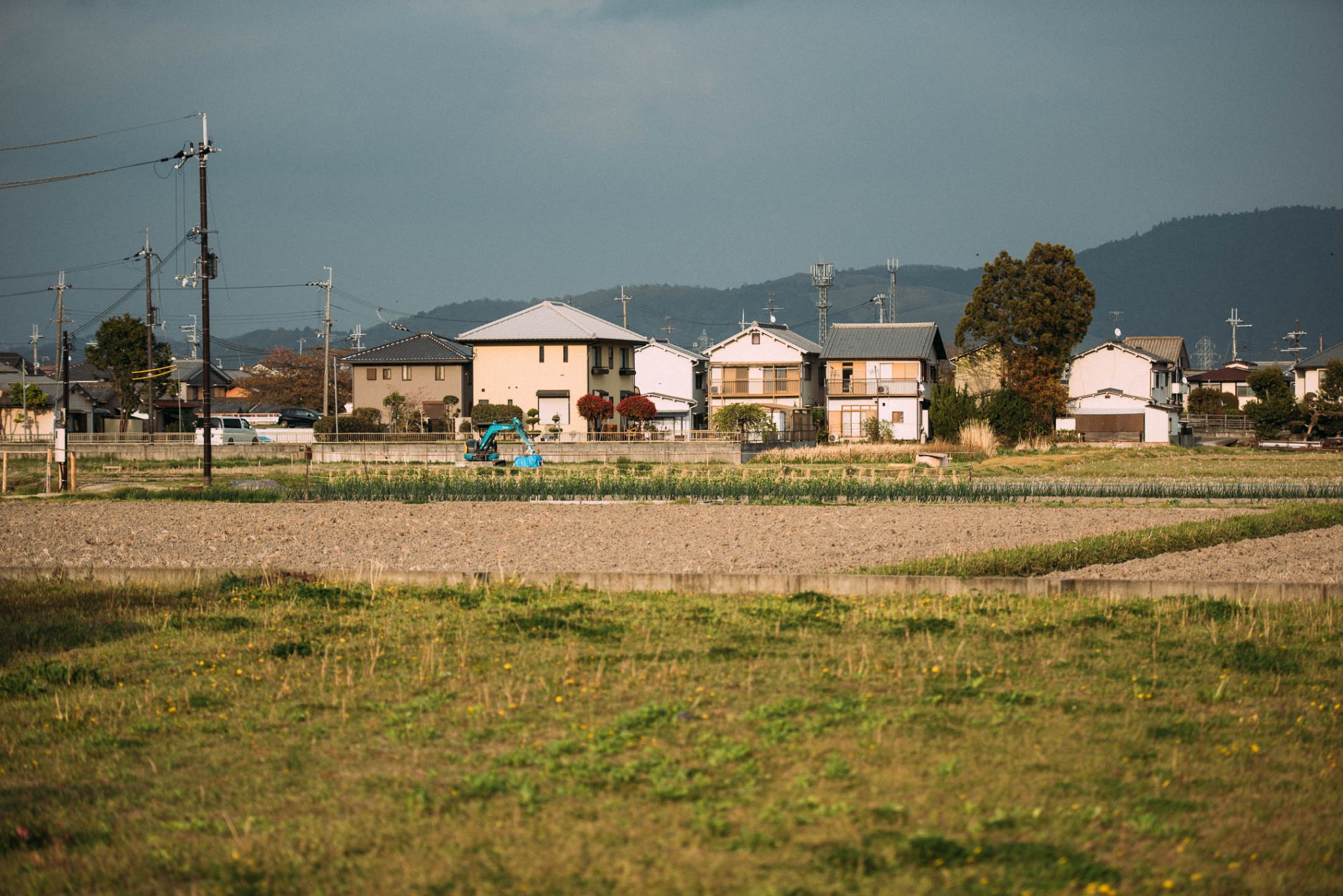 奈良自助遊攻略