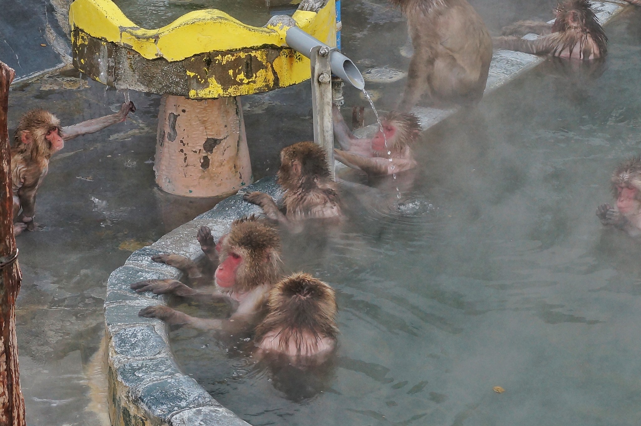 北海道自助遊攻略