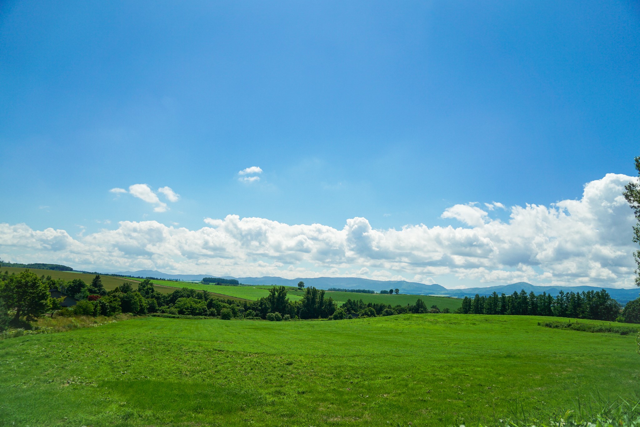 北海道自助遊攻略