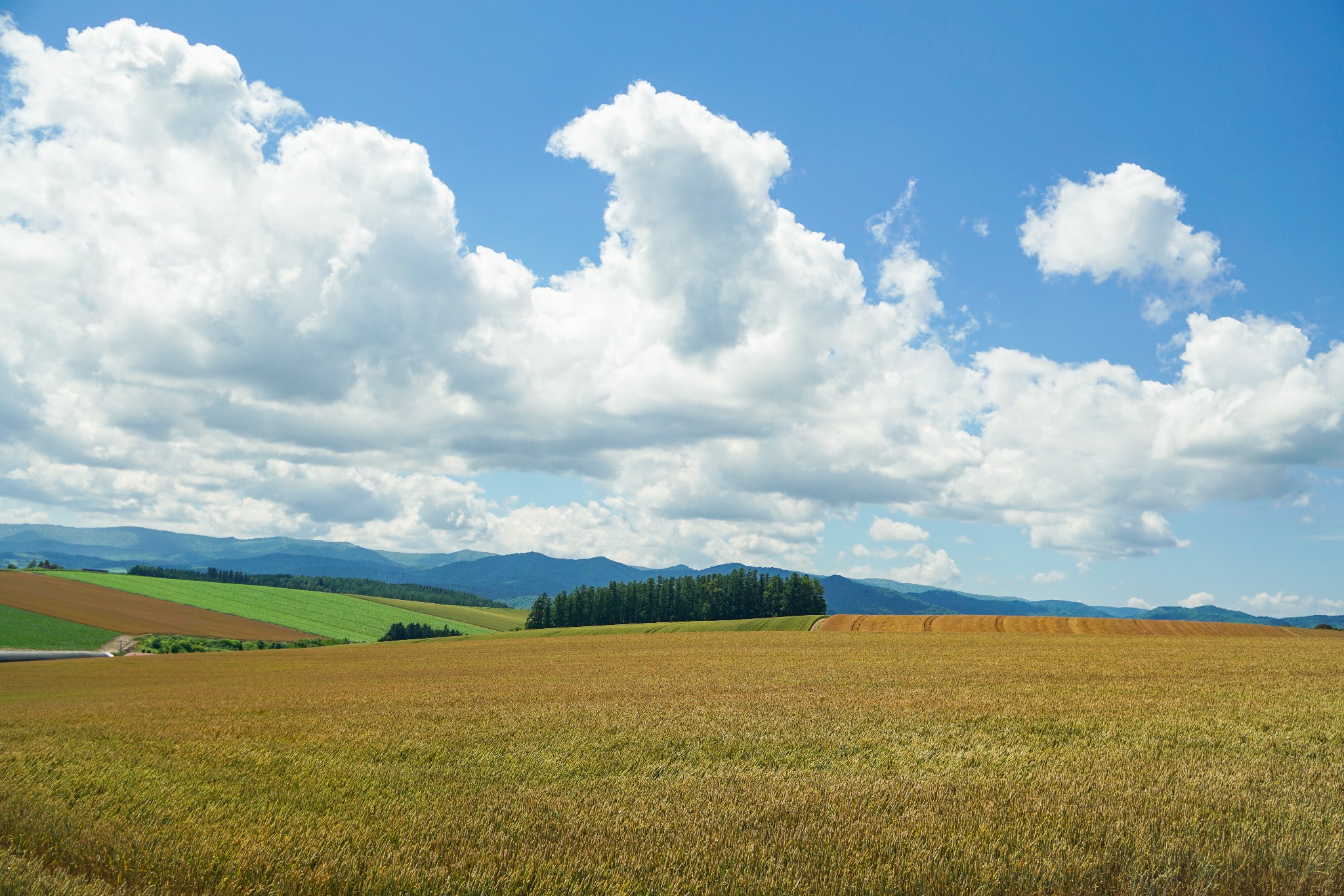 北海道自助遊攻略