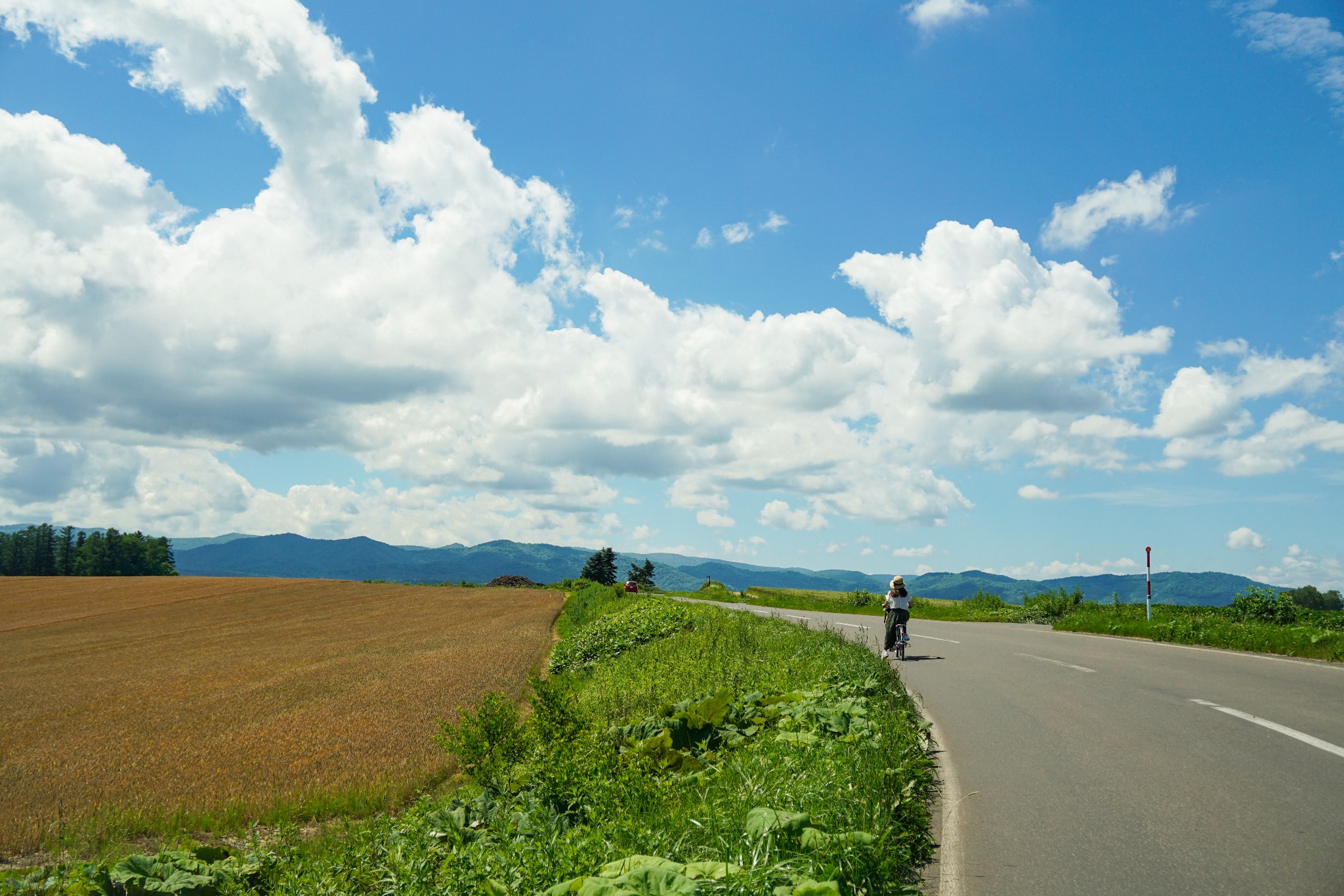 北海道自助遊攻略