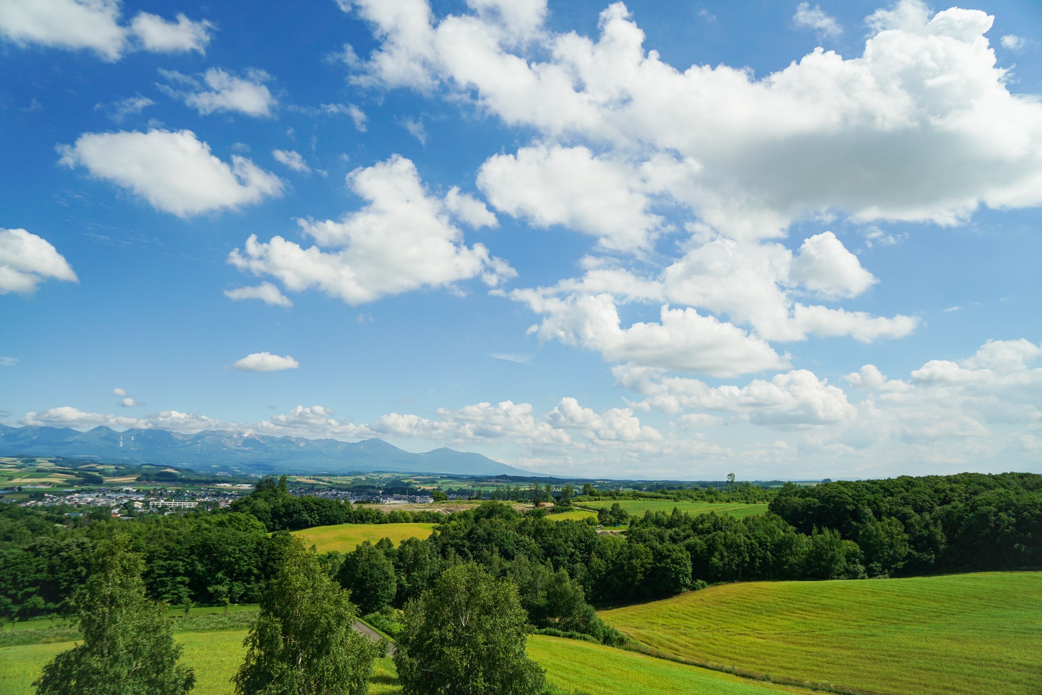 北海道自助遊攻略