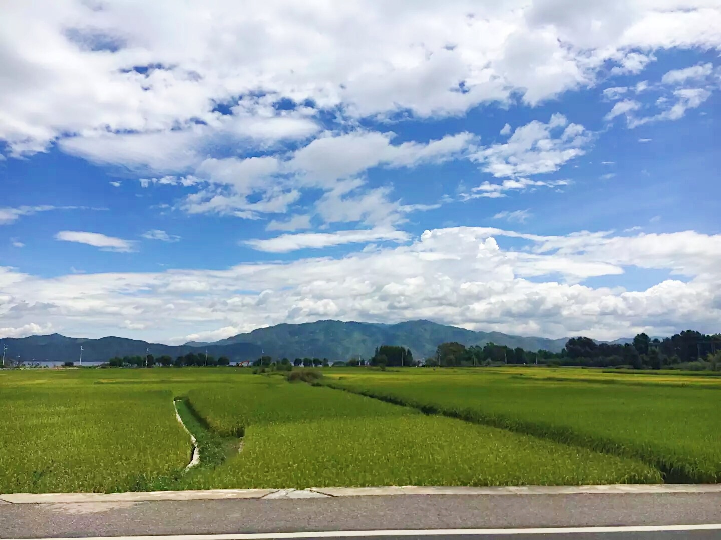 香格里拉的意思