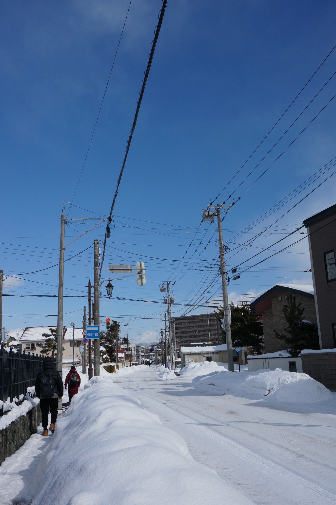 北海道自助遊攻略