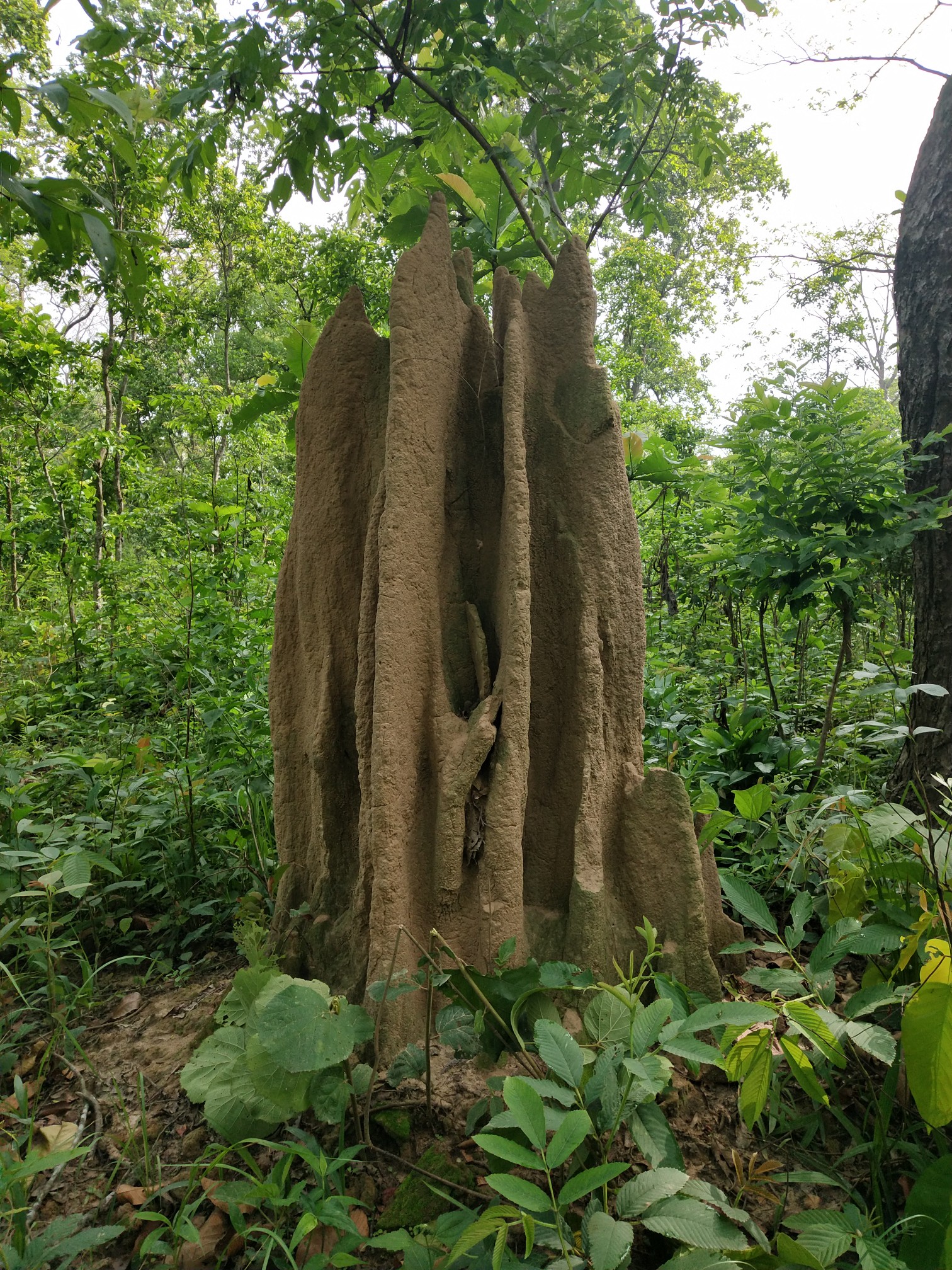 尼泊爾自助遊攻略