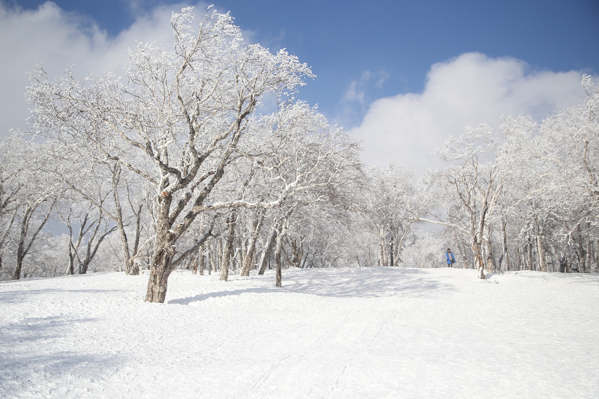 雪鄉自助遊攻略