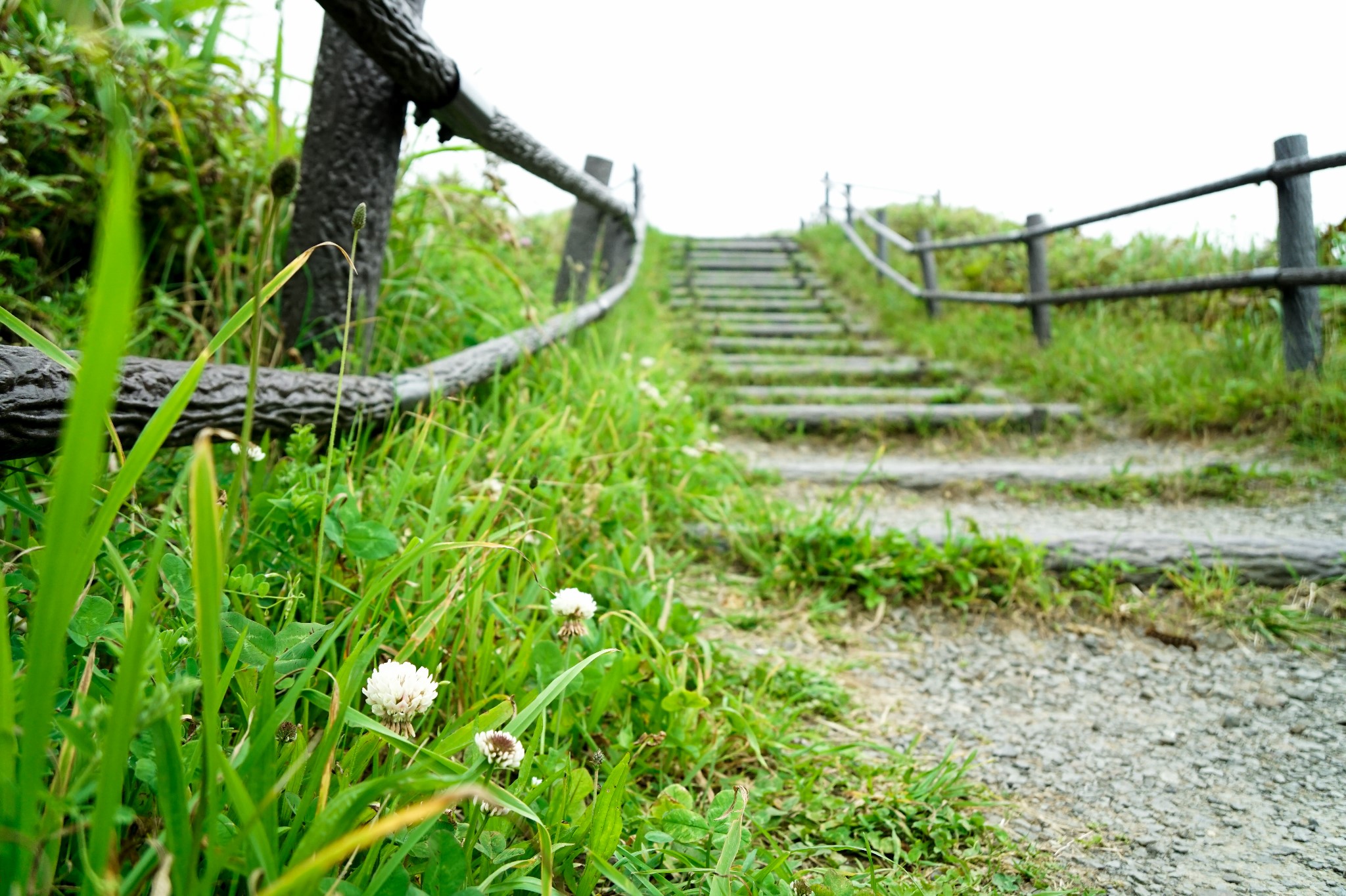 北海道自助遊攻略