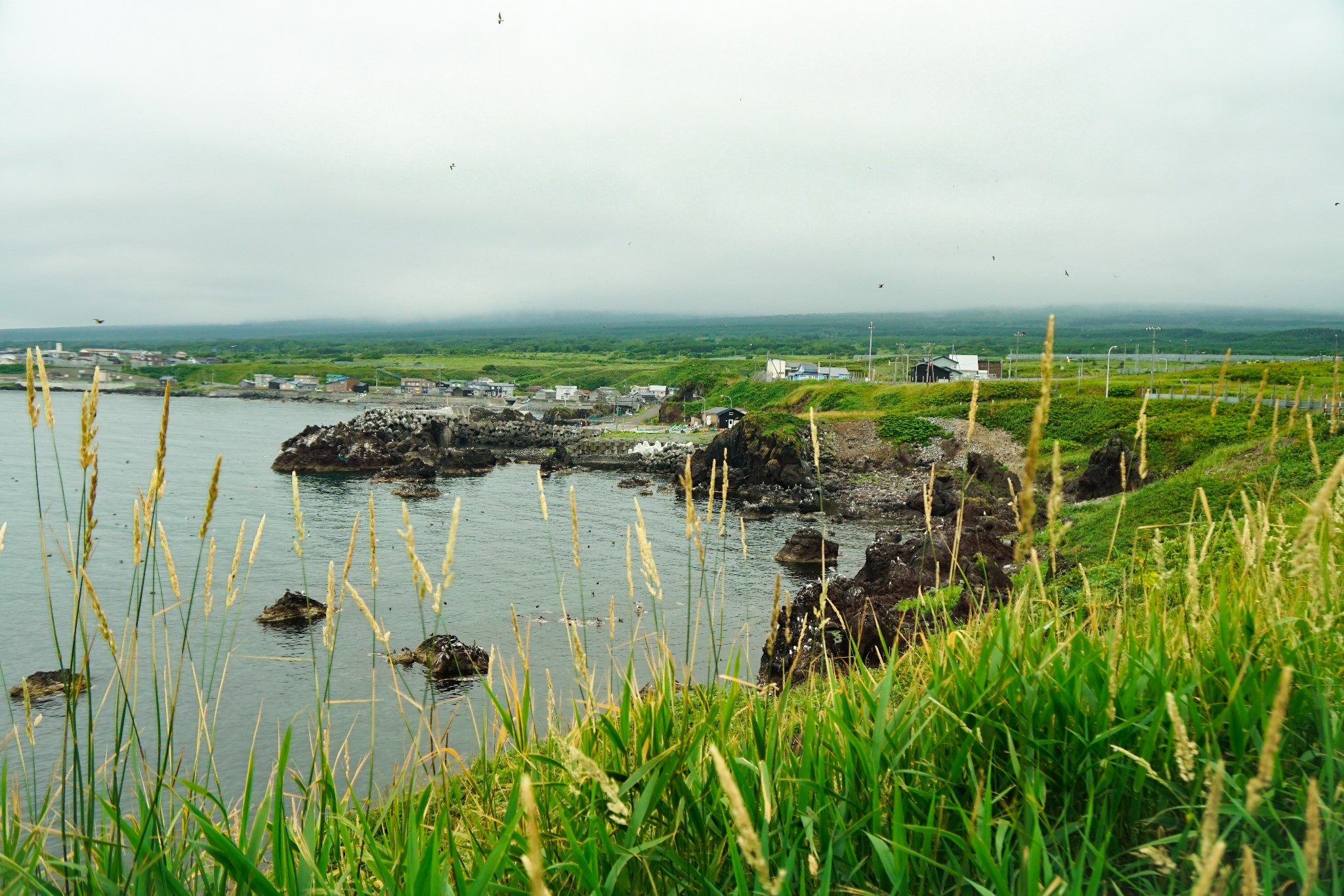 北海道自助遊攻略