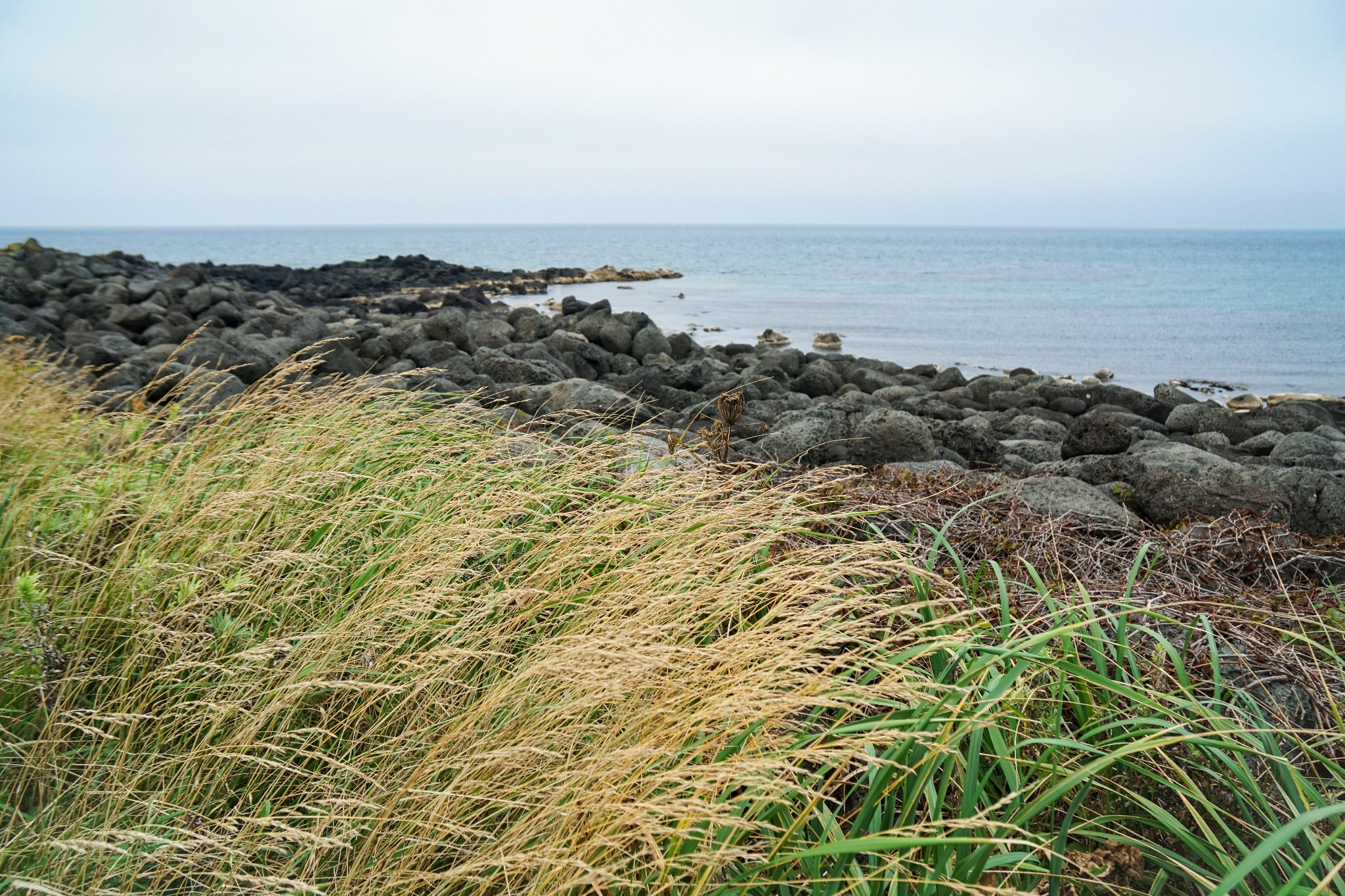 北海道自助遊攻略