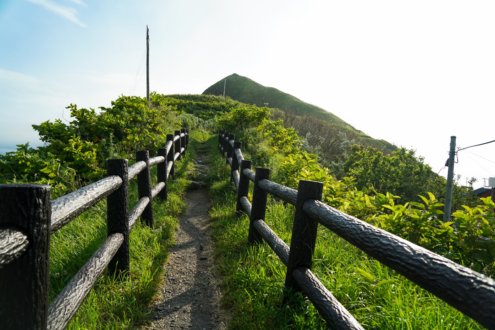 北海道自助遊攻略