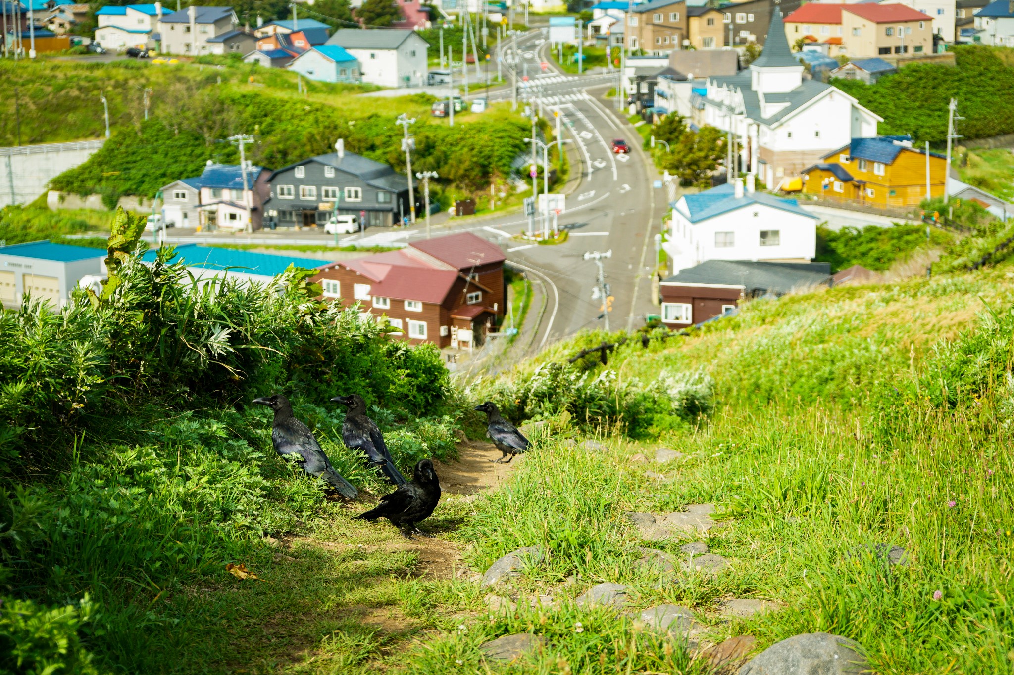 北海道自助遊攻略