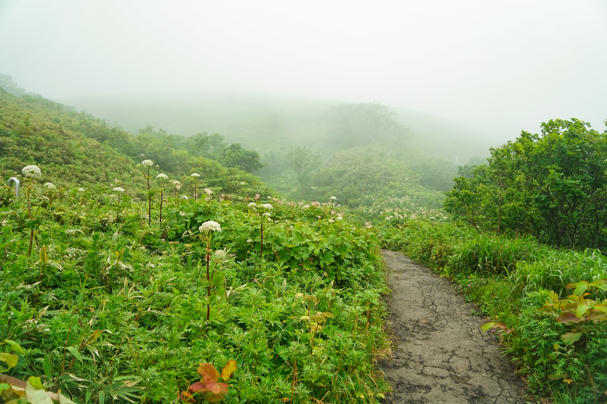 北海道自助遊攻略