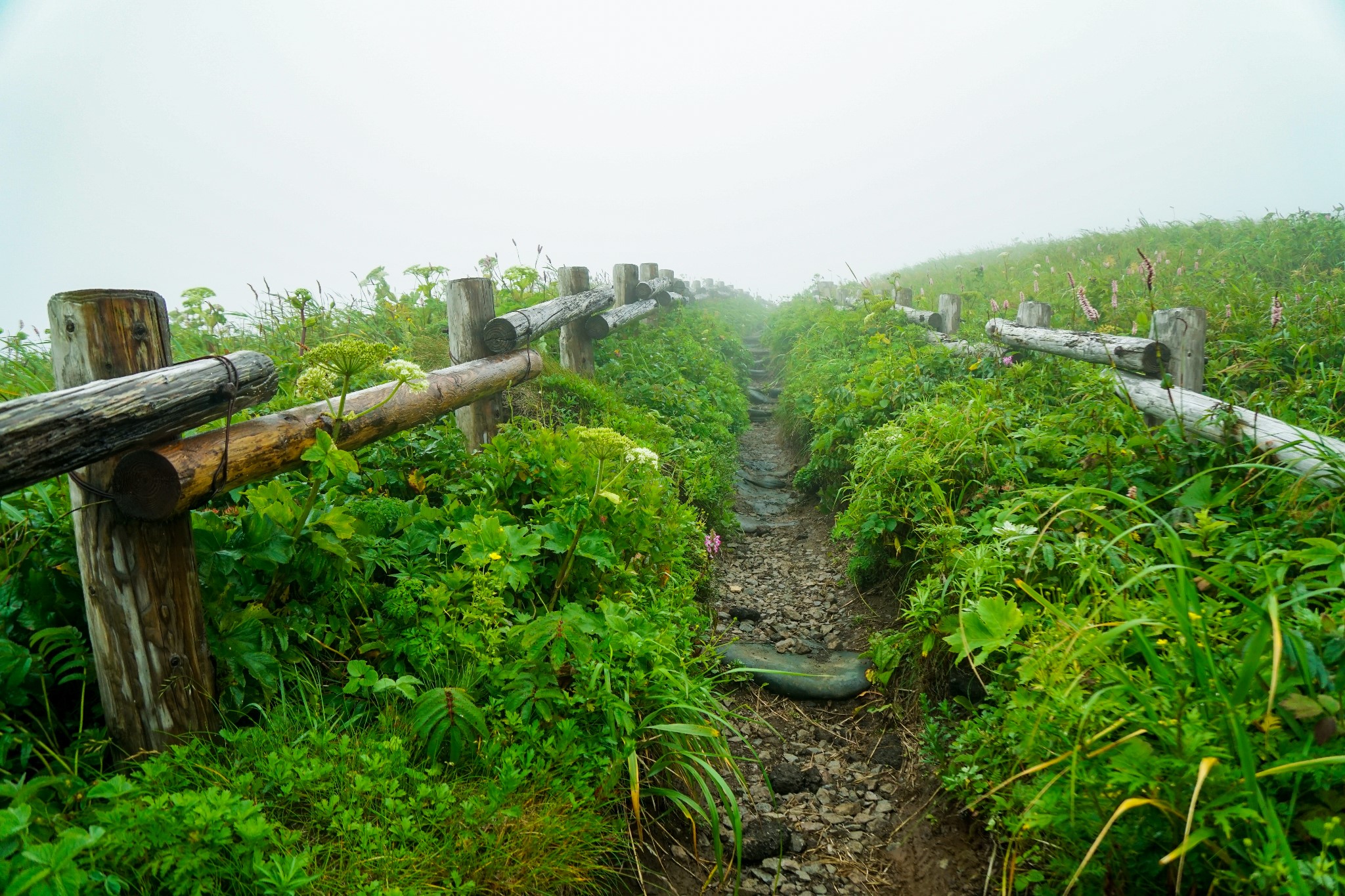 北海道自助遊攻略