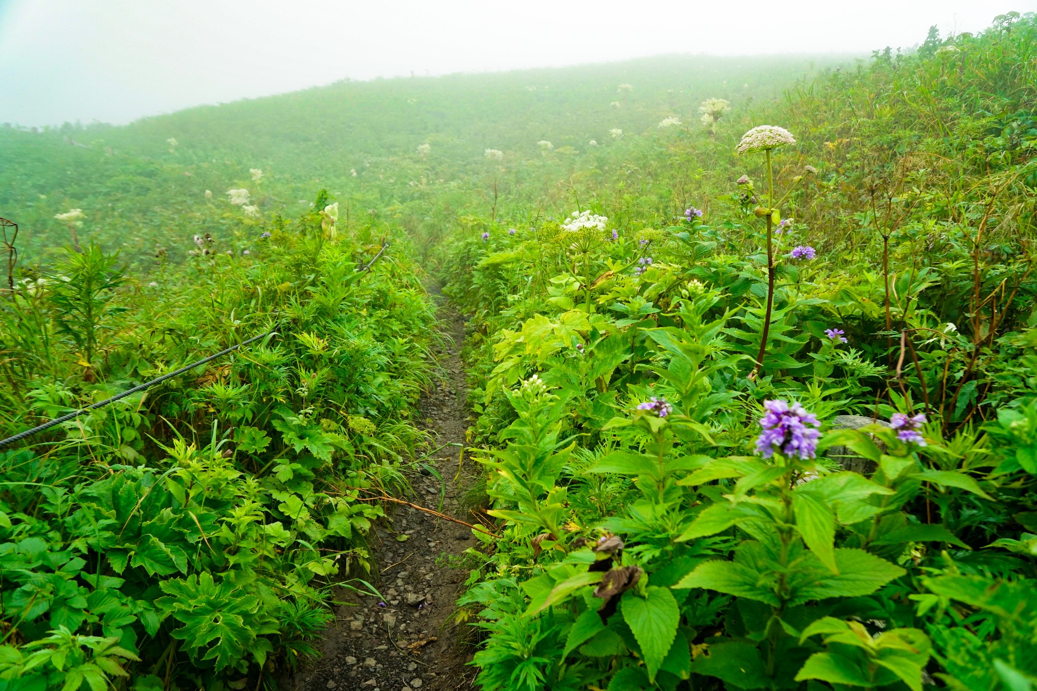 北海道自助遊攻略