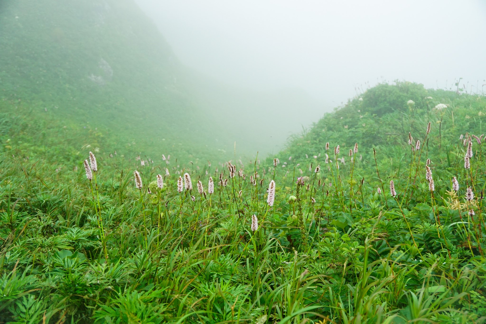 北海道自助遊攻略