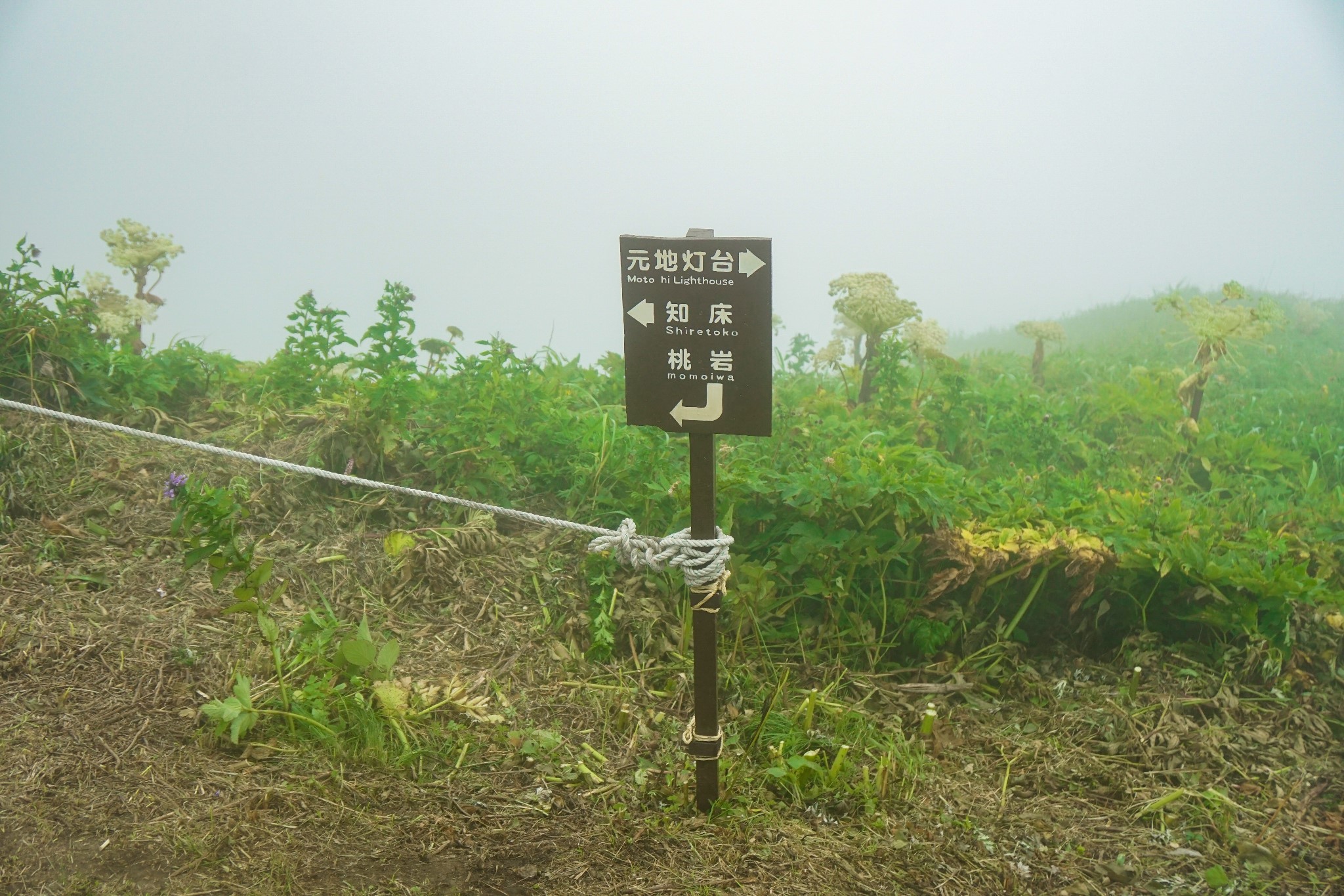 北海道自助遊攻略