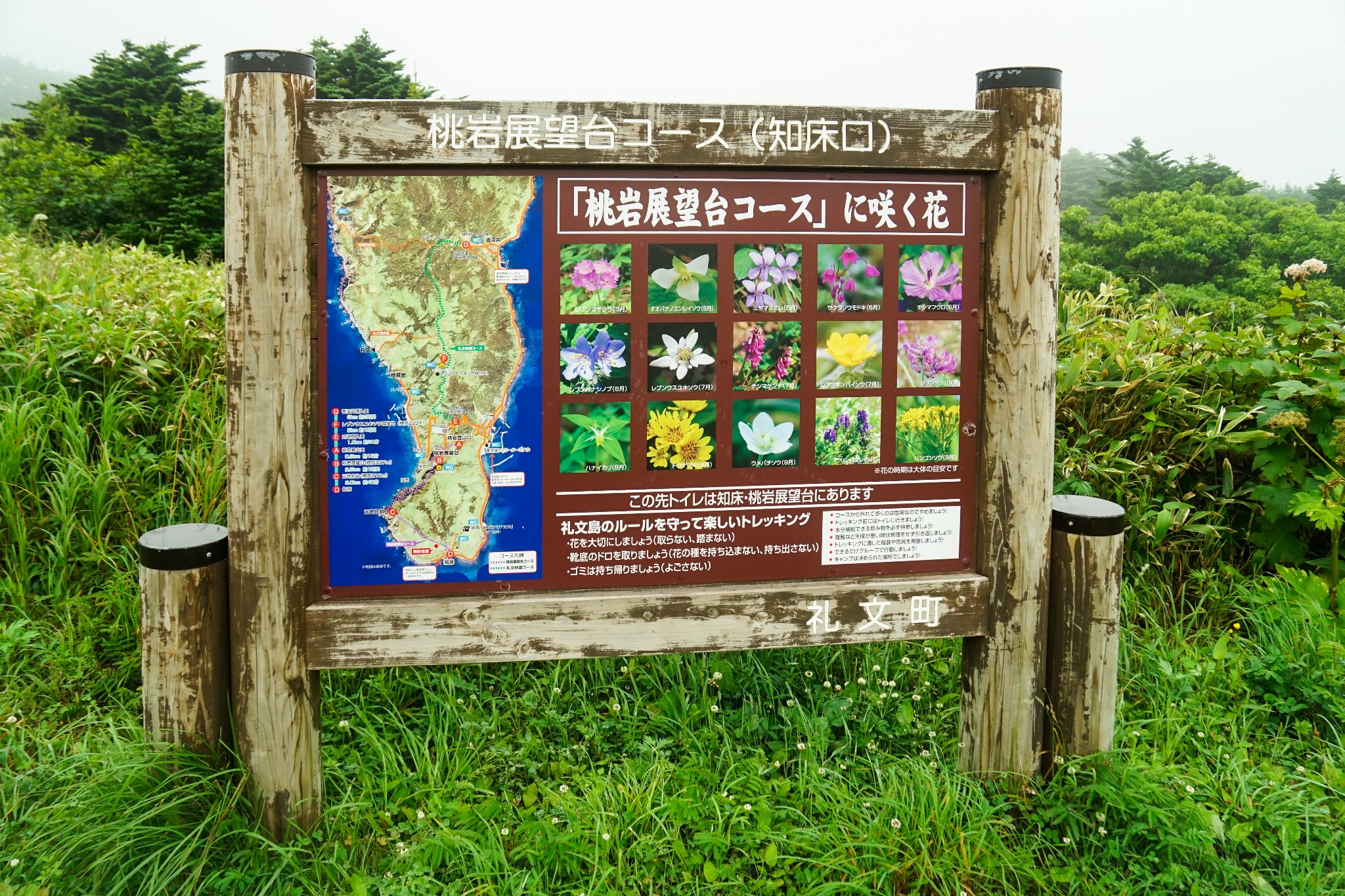 北海道自助遊攻略