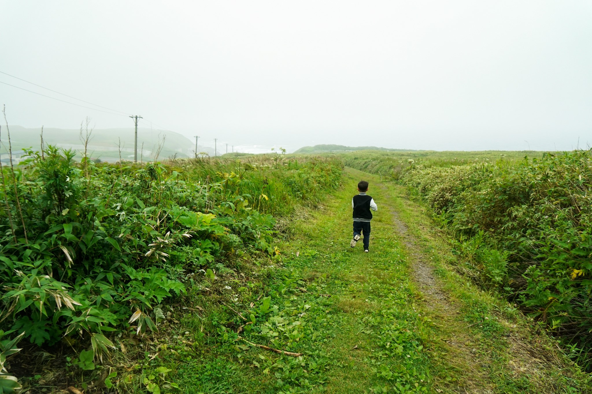 北海道自助遊攻略