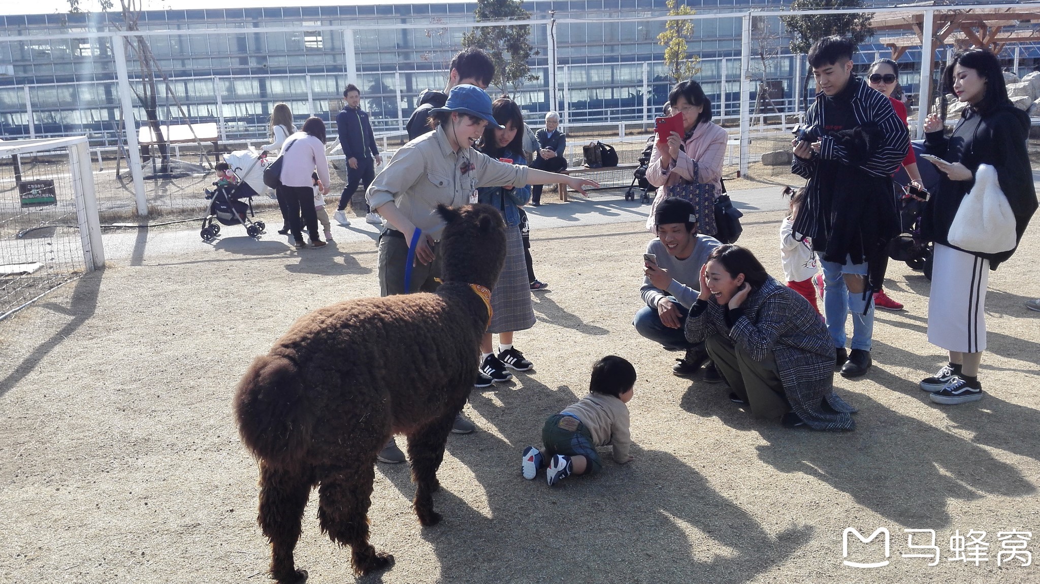 札幌自助遊攻略