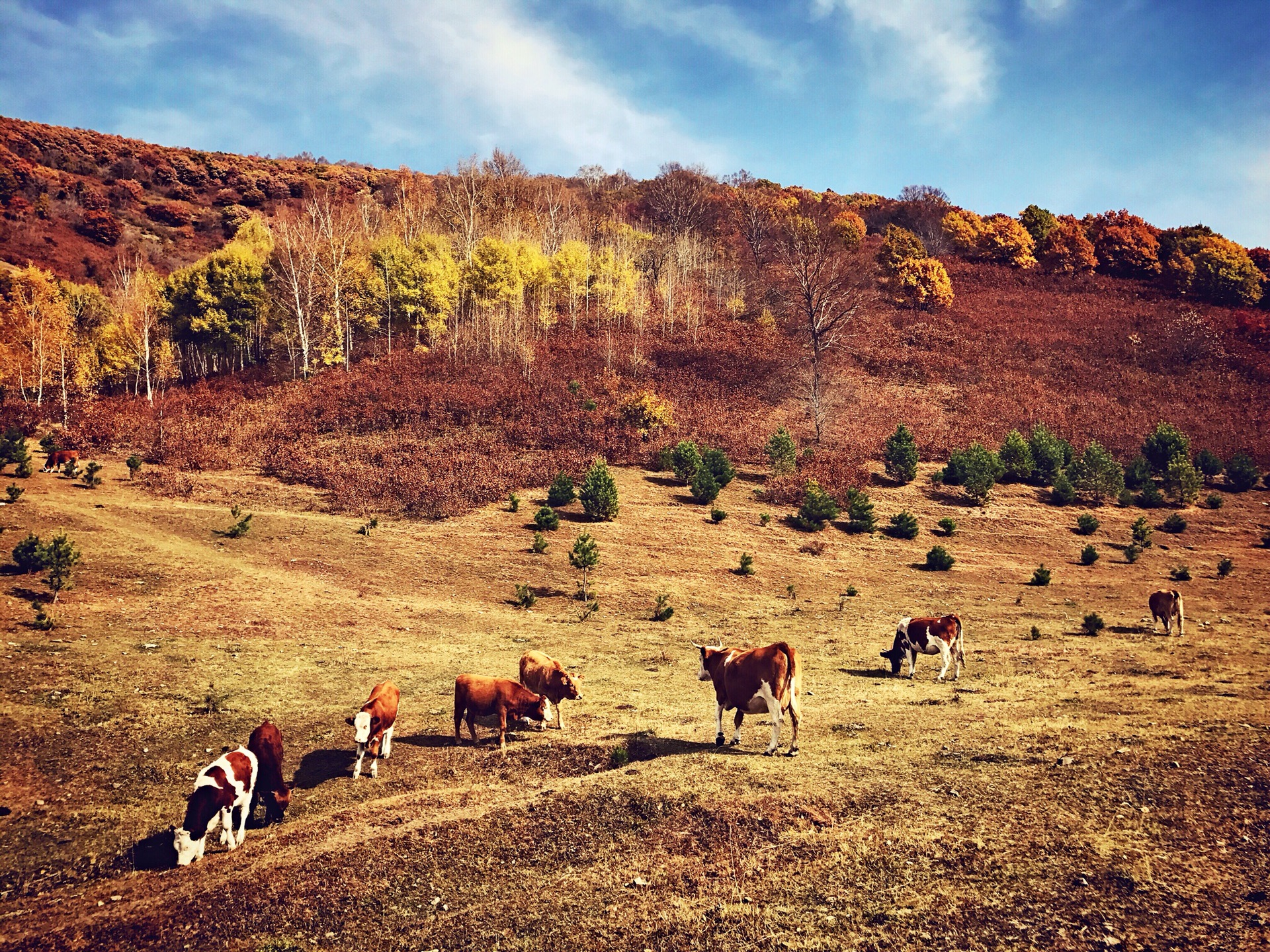 五一美林谷错峰重游