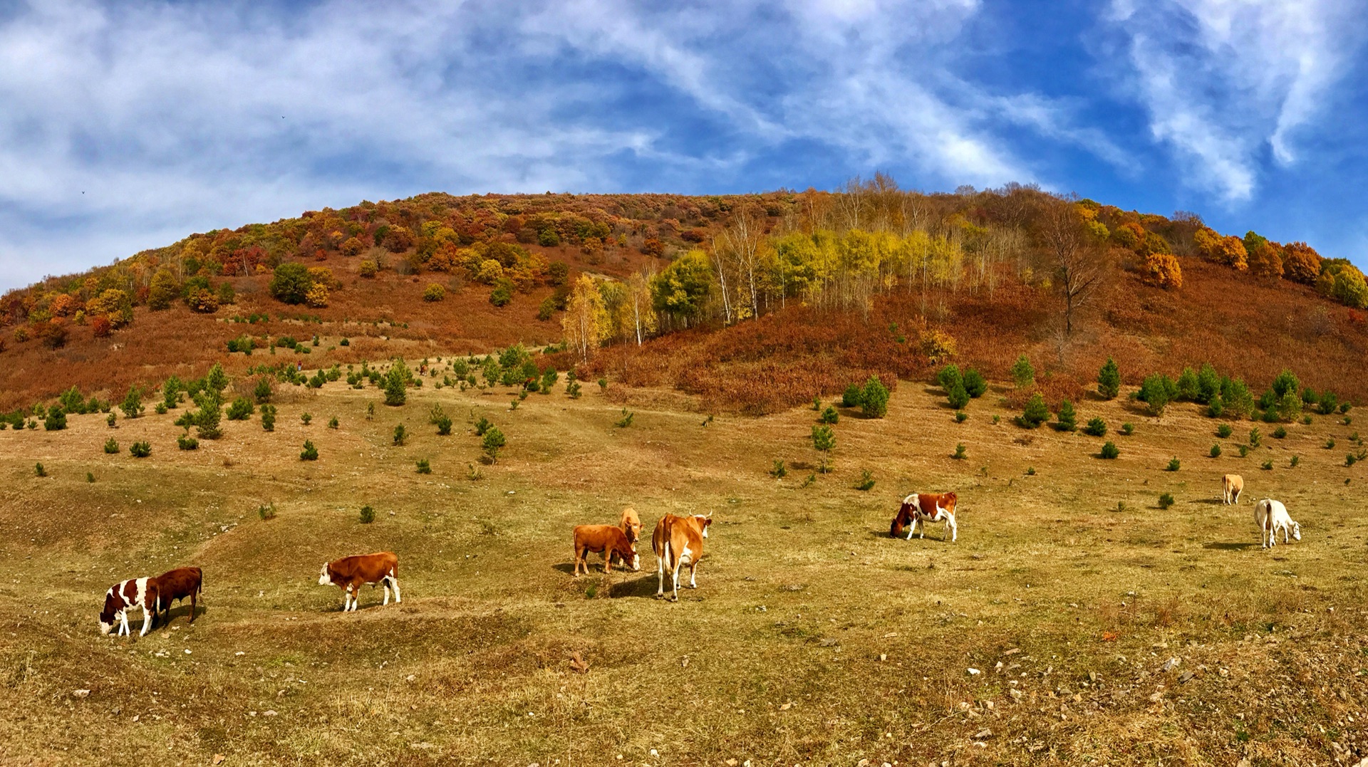 五一美林谷错峰重游