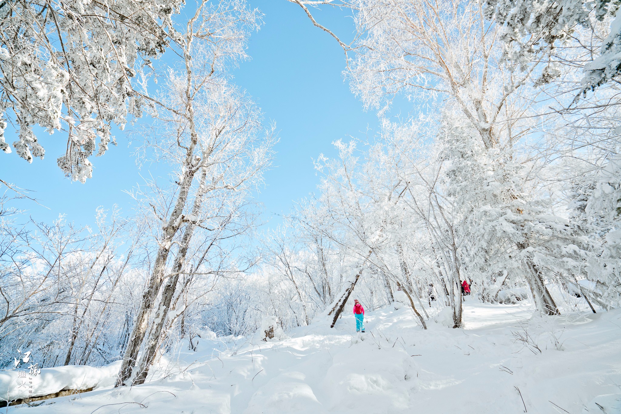 雪鄉自助遊攻略