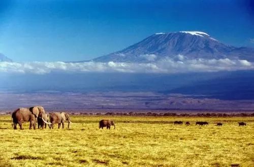 乞力馬扎羅山位於赤道附近,有極其震撼的氣候和景觀變化,自山腳至山頂