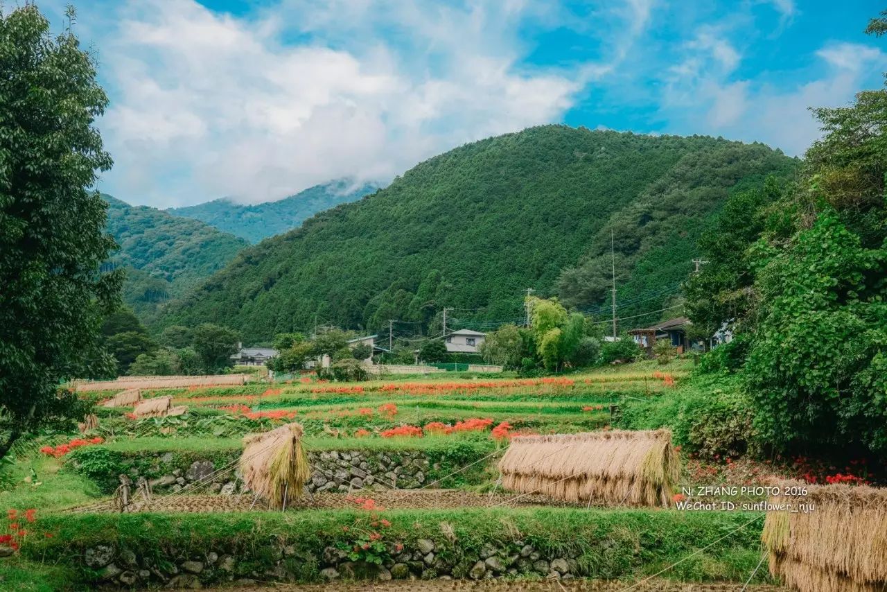 伊势原市