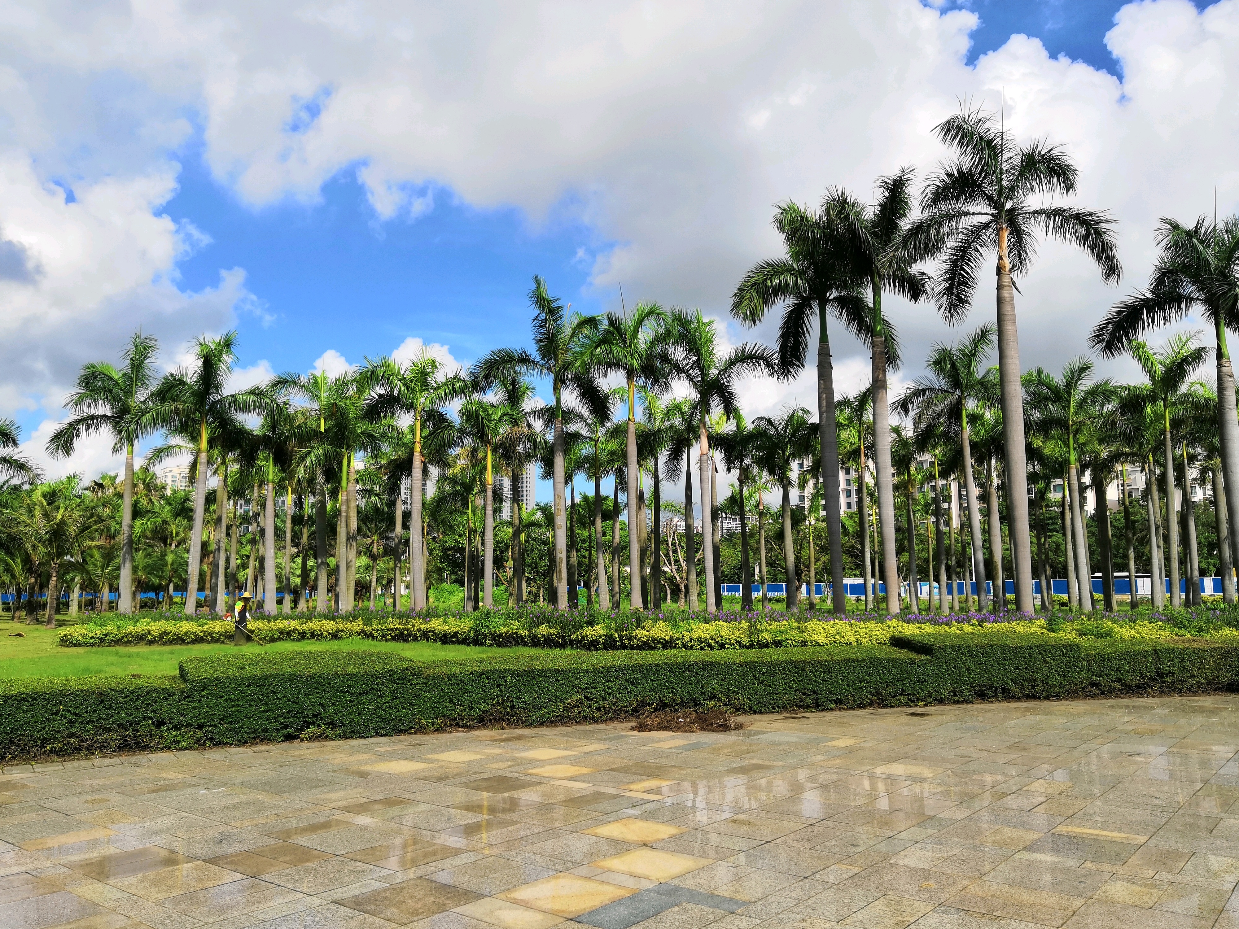 澳门回归林公园