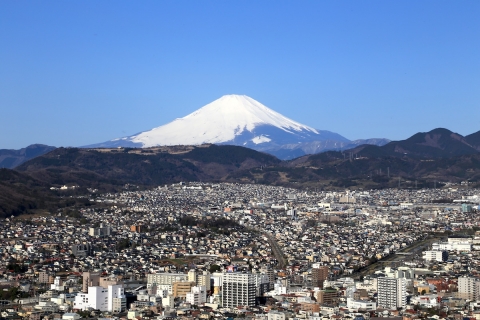 秦野市