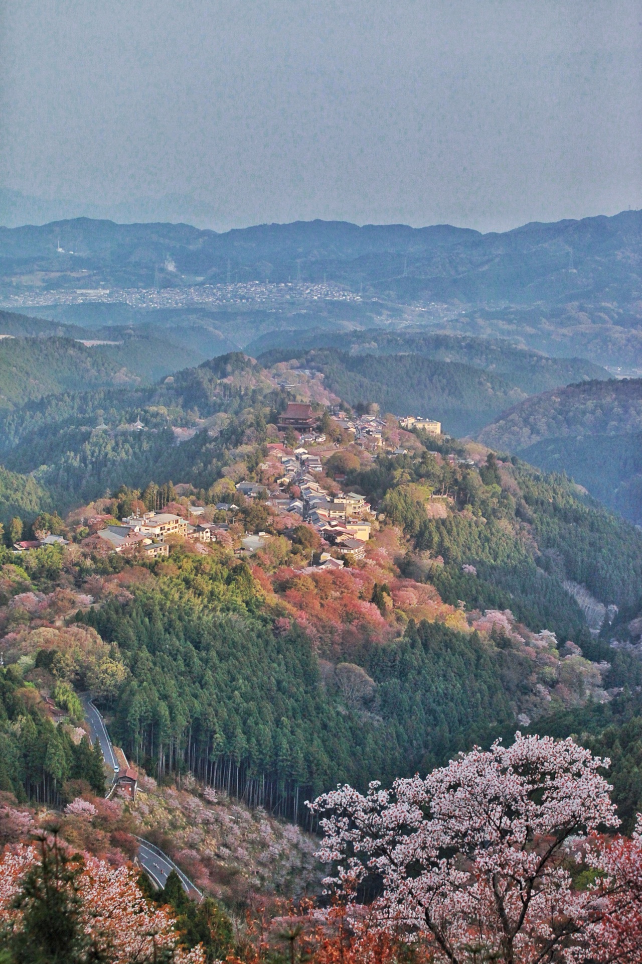花矢倉展望台攻略 花矢倉展望台门票 地址 花矢倉展望台景点攻略 马蜂窝