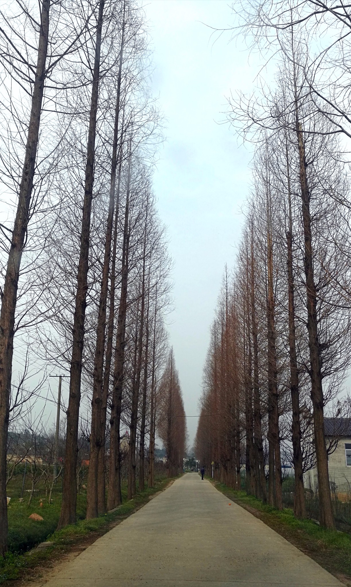 洋溪 全心畈,宜都旅游攻略 - 马蜂窝