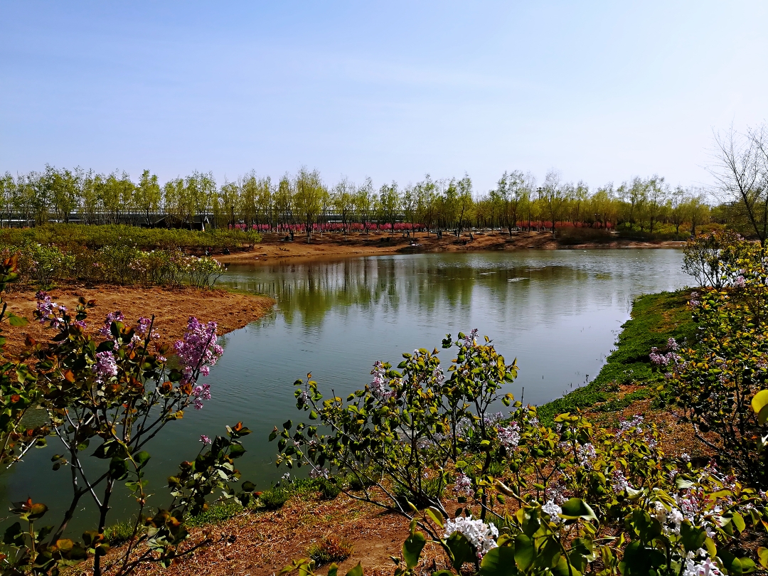 踏青昌平郊野公园