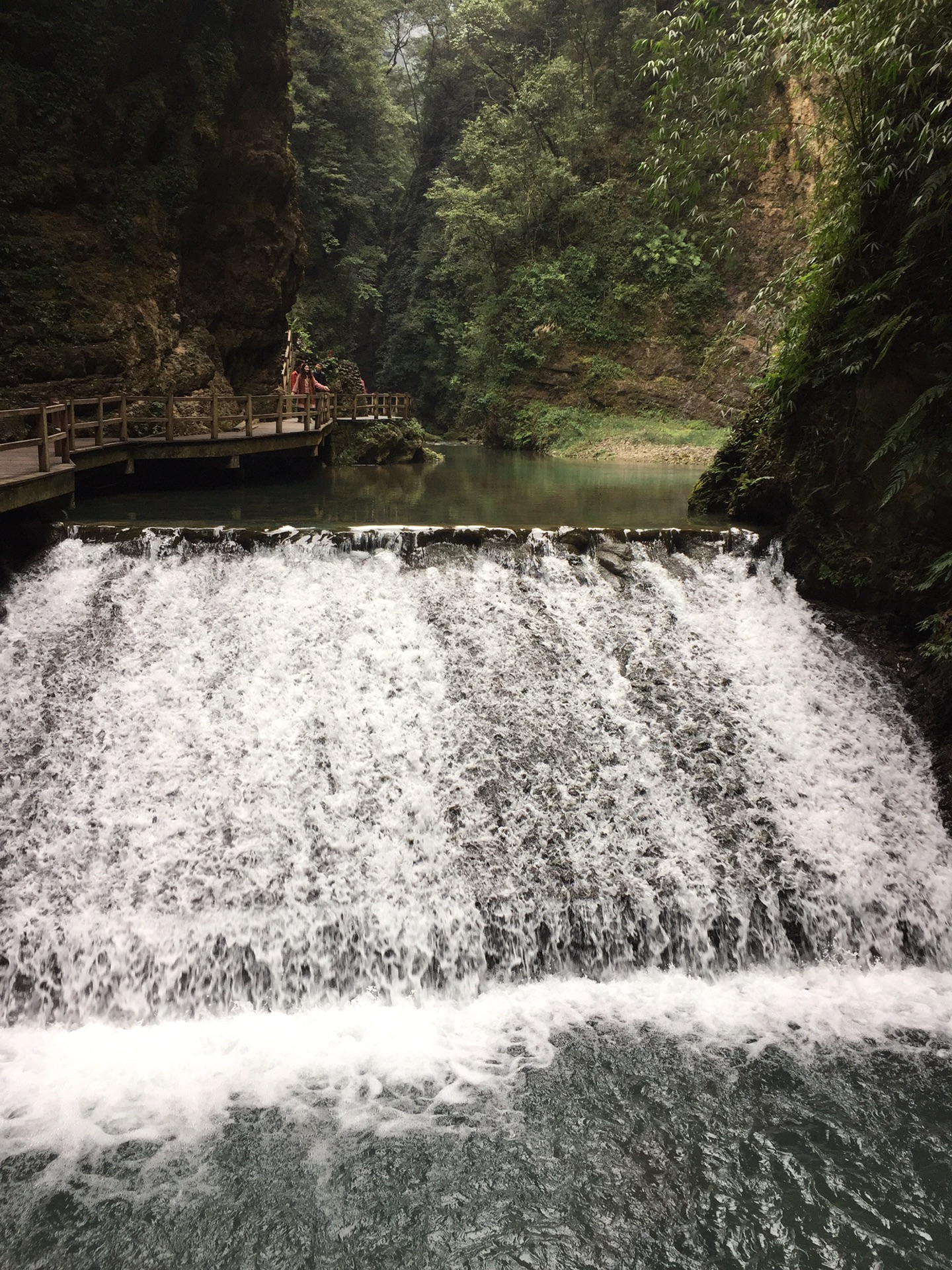 重慶萬盛黑山谷遊記,綦江區旅遊攻略 - 馬蜂窩