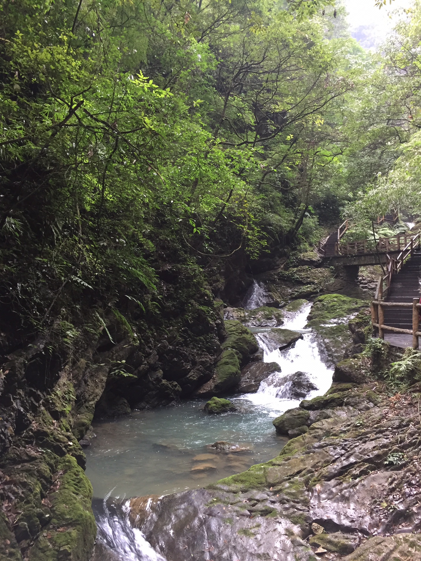 重慶萬盛黑山谷遊記,綦江區旅遊攻略 - 馬蜂窩