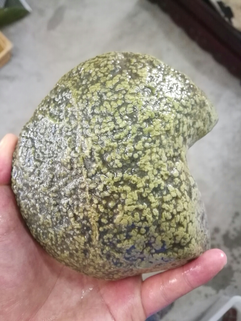 汉中奇石之～～海百合,柳叶石,汉中自助游攻略 - 马蜂窝