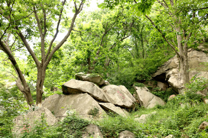 可以用什么词来形容花果山 wKgBEFsVLnCAQNlHAAWkzb9ydFo91.jpeg?imageView2%2F2%2Fw%2F680%2Fq%2F90%7CimageMogr2%2Fstrip%2Fquality%2F90