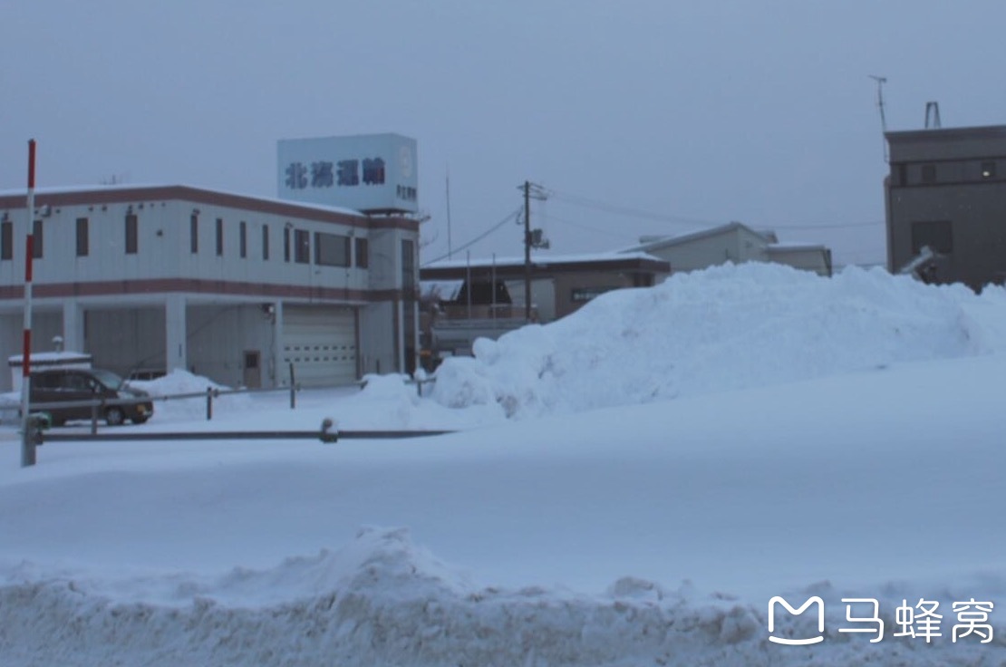 北海道自助遊攻略