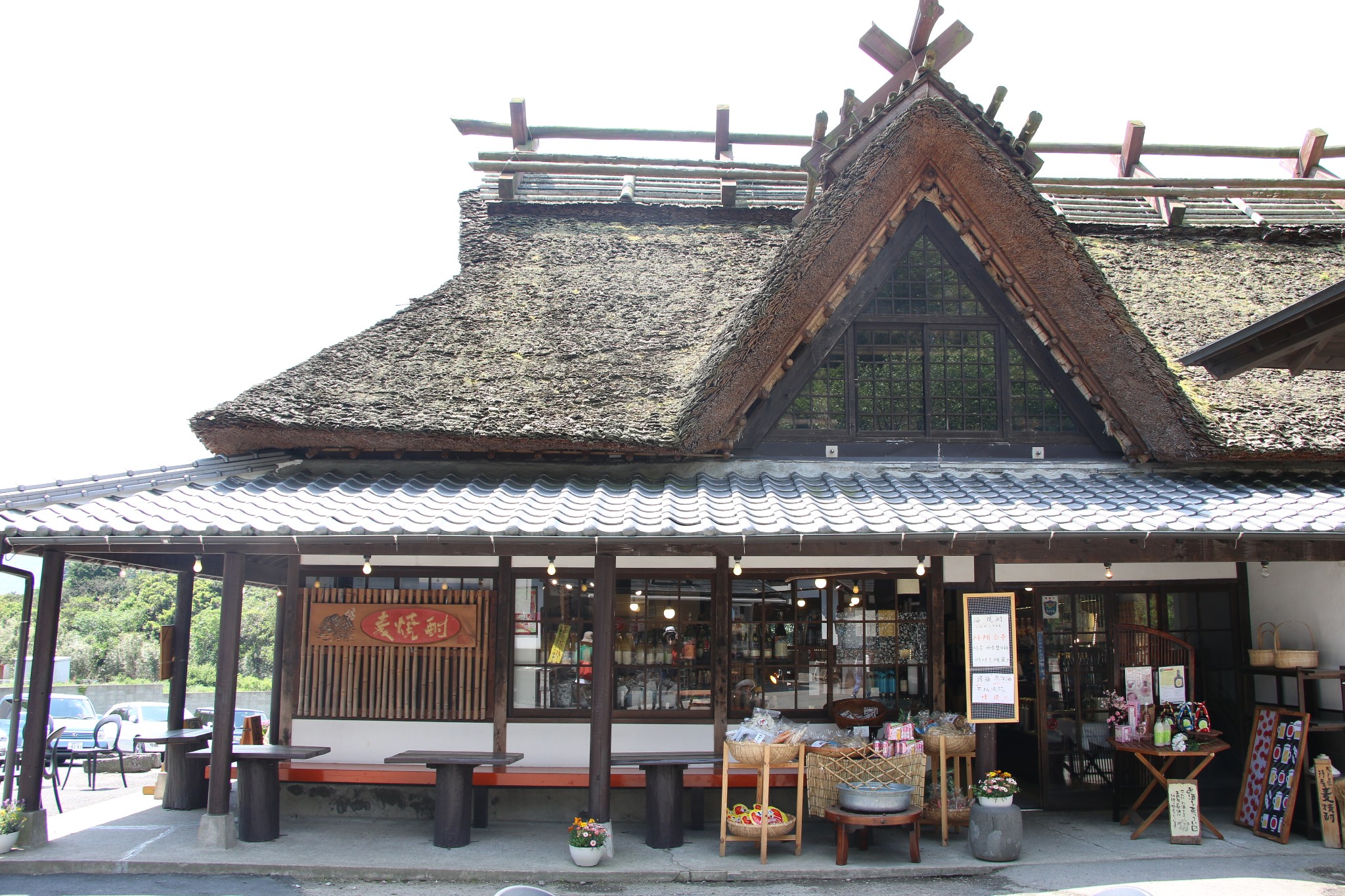 别府市旅游图片