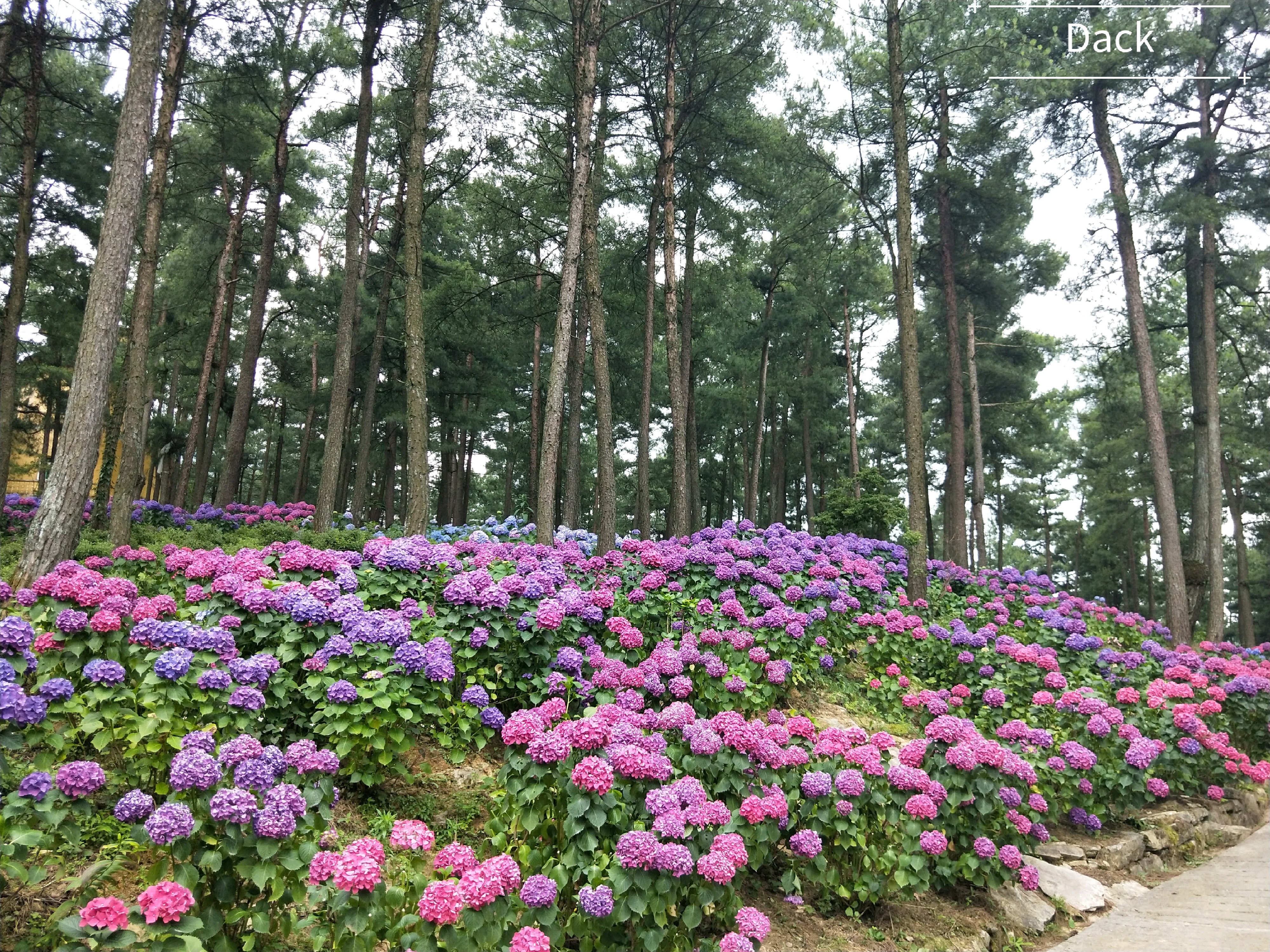 大木林下花园旅游图片,大木林下花园自助游图片,大木林下花园旅游景点