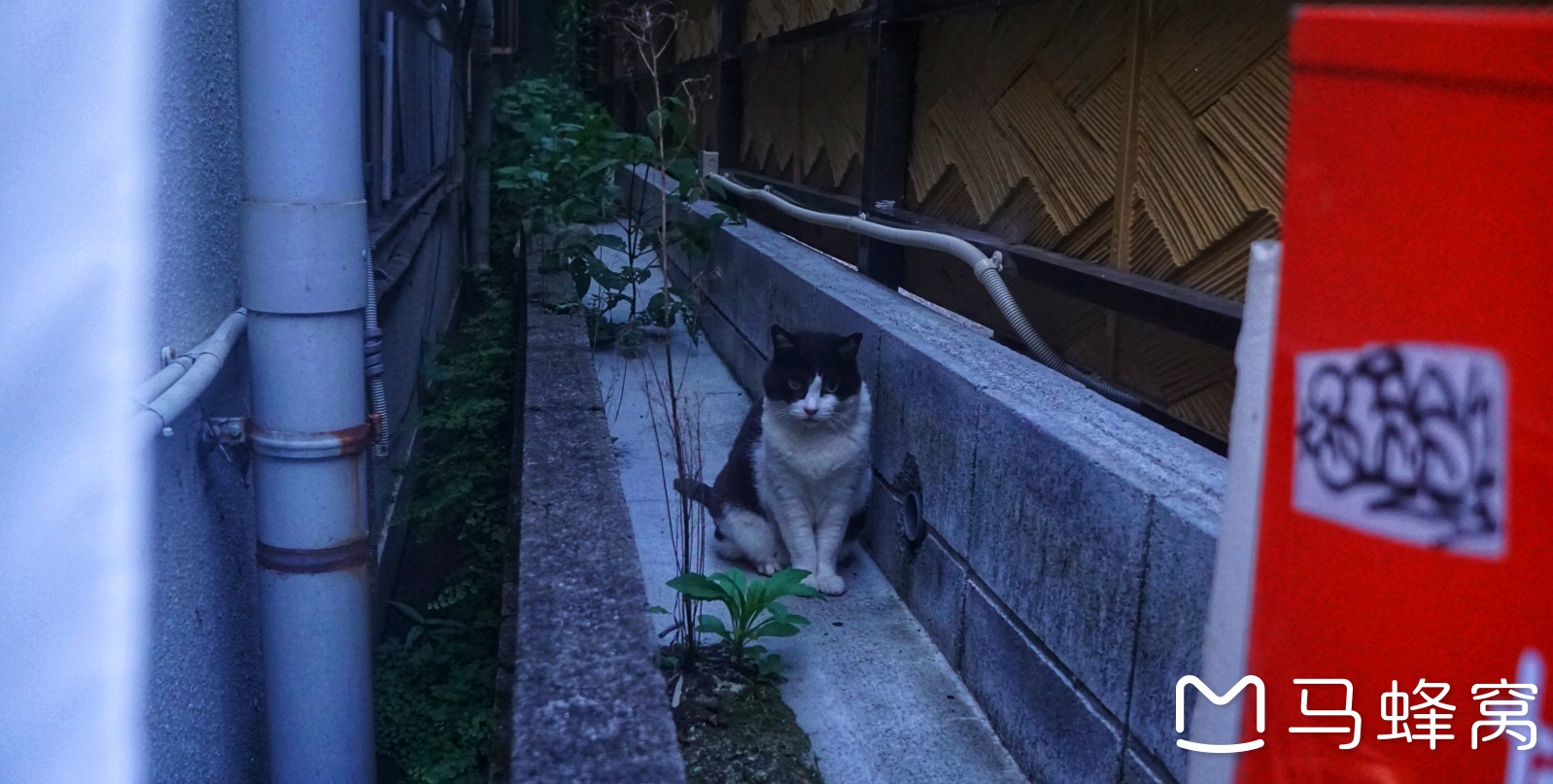 富士山自助遊攻略