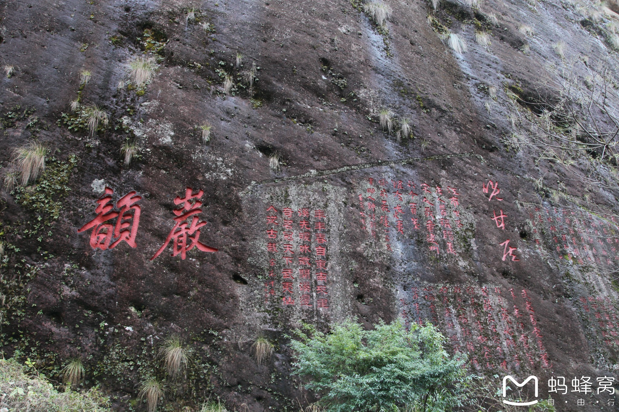 武夷山自助遊攻略