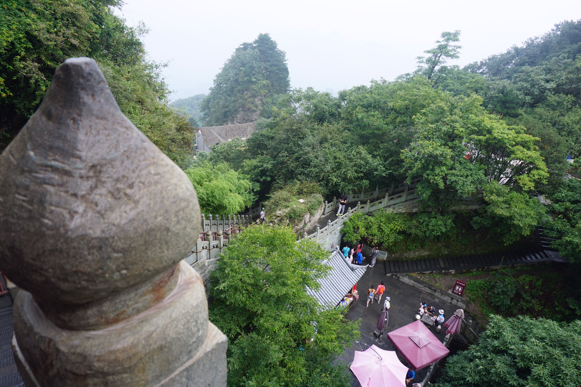 在湖北|武漢●宜昌●武當山●神農架,稻城旅遊攻略 - 馬蜂窩