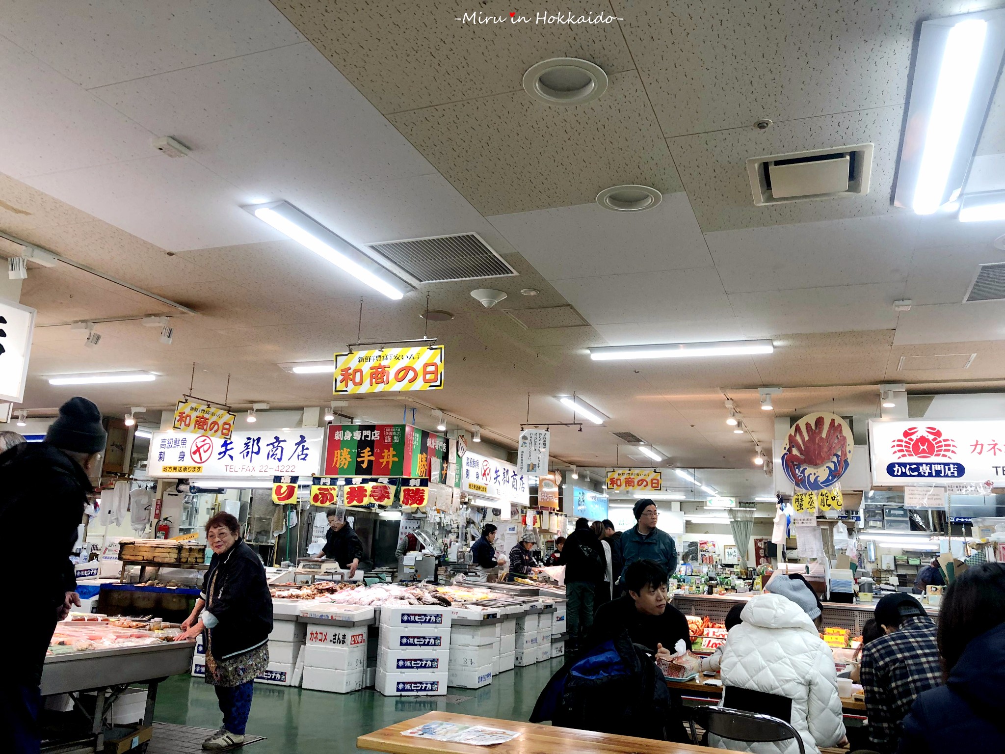 北海道自助遊攻略