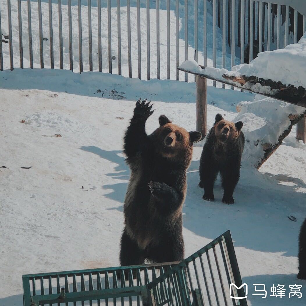 北海道自助遊攻略